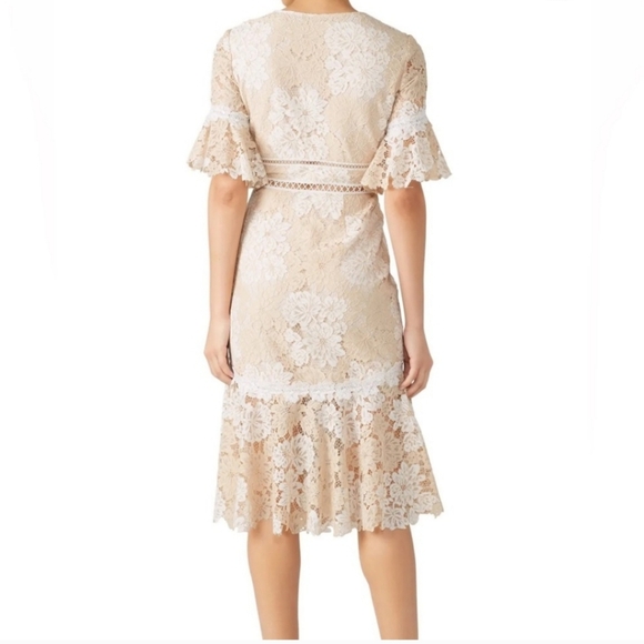 Saylor Lace Maggy Midi Dress Small - Picture 4 of 12